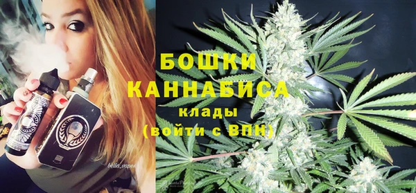 молекула духа Белокуриха