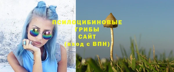 молекула духа Белокуриха